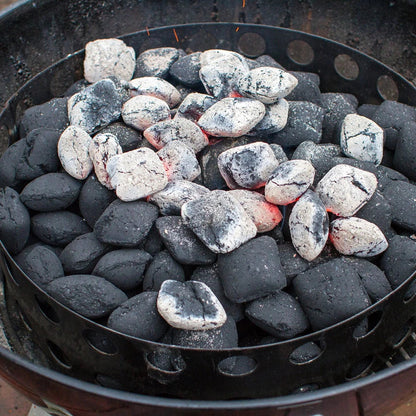 Weber Smokey Mountain Cooker Smoker 18.5 In.